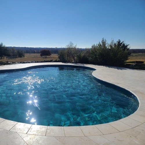 pool surrounded by shrubs